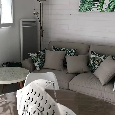 Vakantiehuis Maison Mitoyenne T3 Avec Piscine, Clim, Parking, Animaux Acceptes - Fr-1-768-21 *