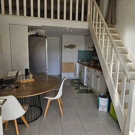 Vakantiehuis Maison Mitoyenne T3 Avec Piscine, Clim, Parking, Animaux Acceptes - Fr-1-768-21 *